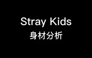 Download Video: Stray Kids全员身材分析