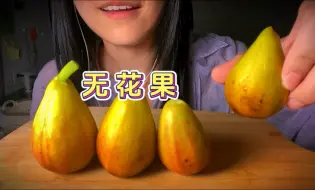 Download Video: 【咀嚼音轻语】今天树上熟了四颗无花果