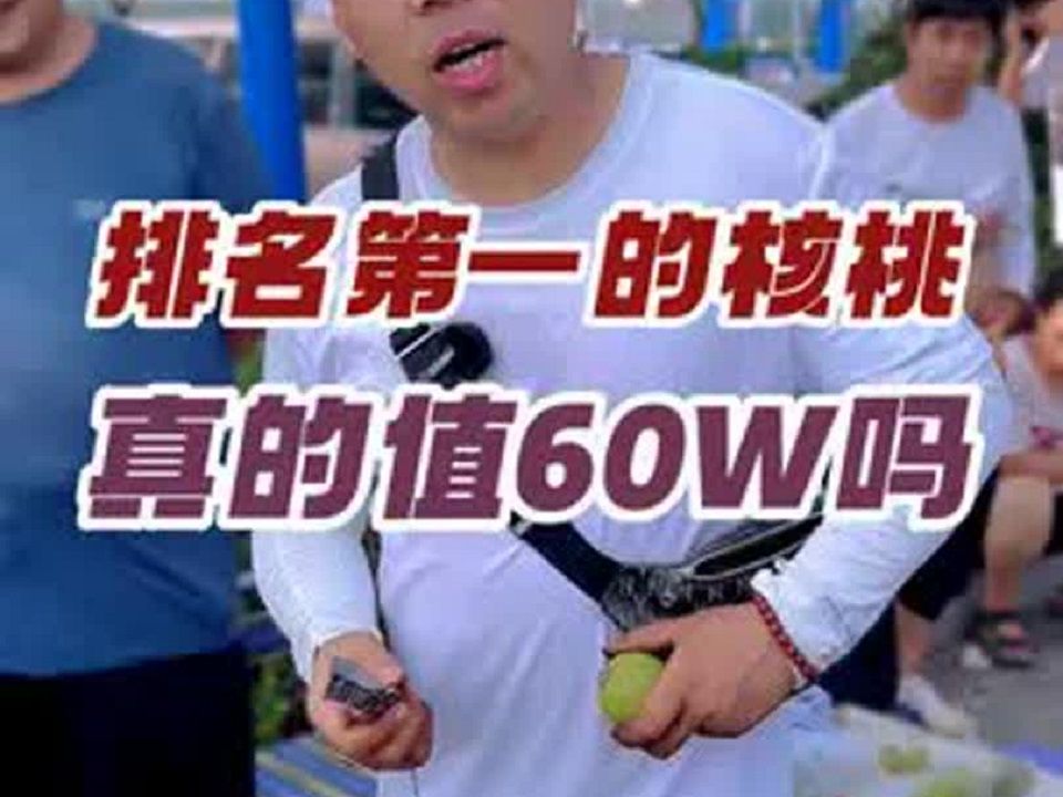 涞水排名第一的核桃,真的值60万吗?哔哩哔哩bilibili