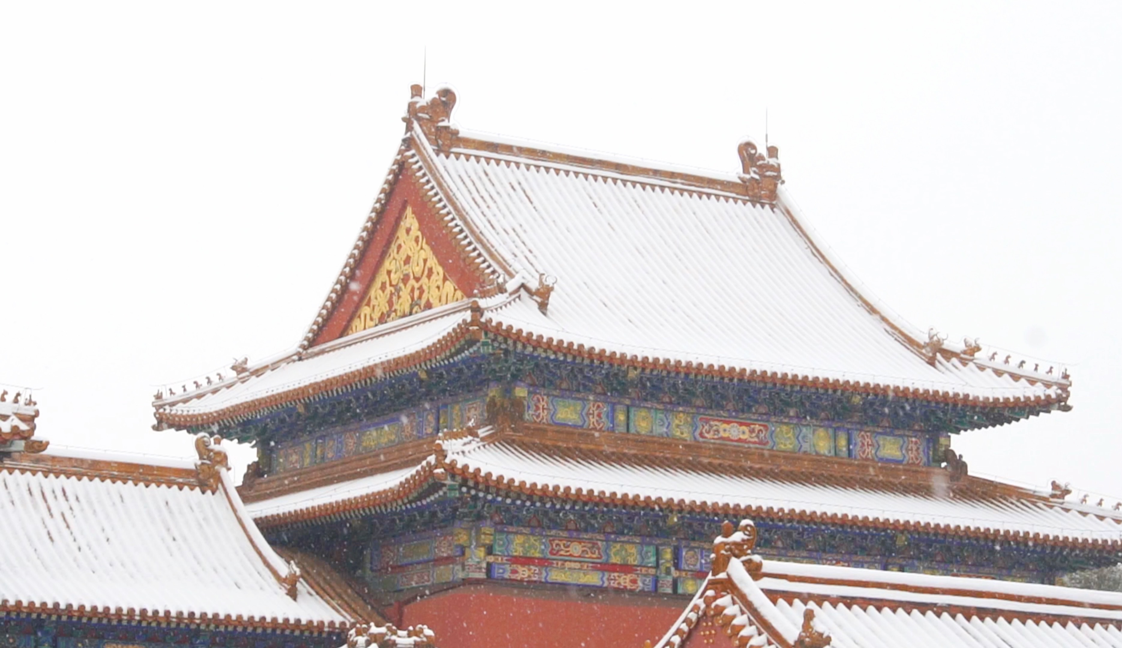 故宫雪景|红墙白雪与凝滞的时间