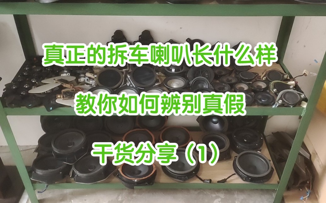 干货分享,真正拆车喇叭长什么样,教大家如何辨别真假!哔哩哔哩bilibili