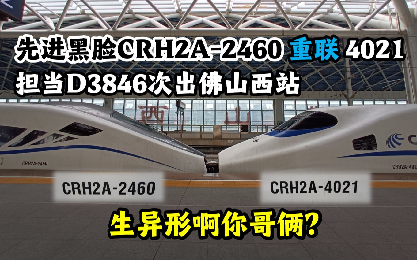 【中国铁路】绝版异形重联!独苗先进黑脸CRH2A2460重联4021担当D3846次出佛山西站!哔哩哔哩bilibili