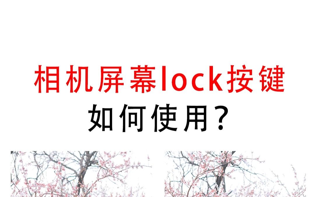 相机屏幕lock按键、如何使用?哔哩哔哩bilibili