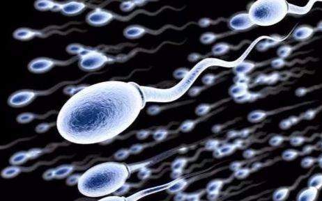 【2049日报】s02e344 精子的制胜之道:因地制宜