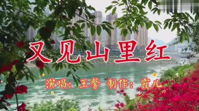 [图]王馨一首《又见山里红》：久别的山里红，醉人心扉，一片思乡之情