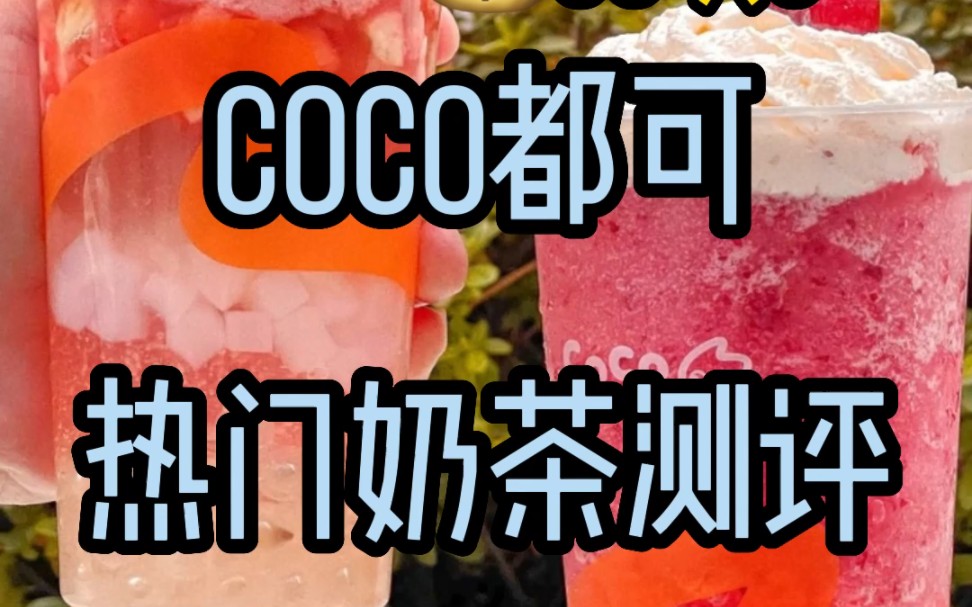 真实测评Coco奶茶哔哩哔哩bilibili