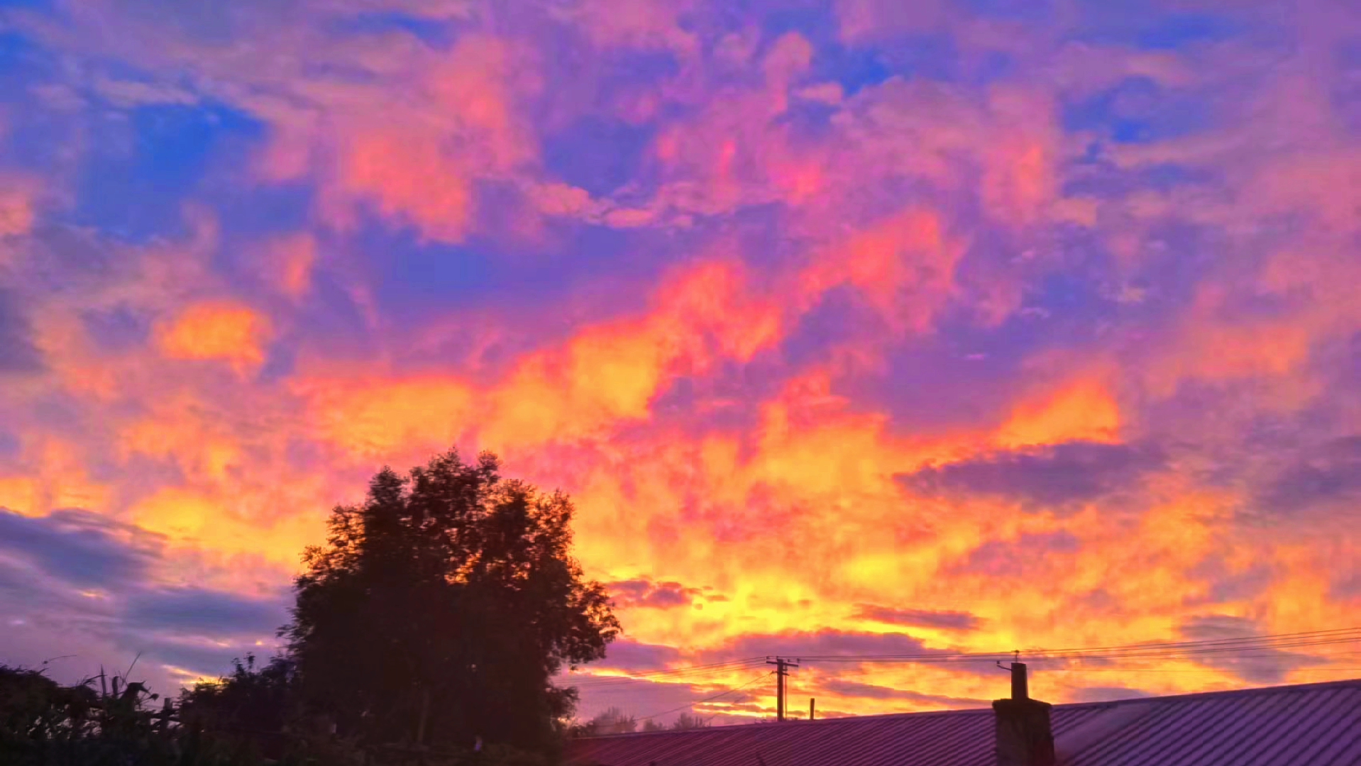 我多想回到那个夏天