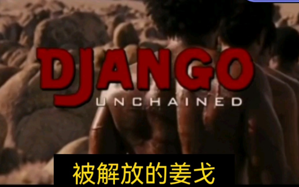 [图]2013 Django Unchained