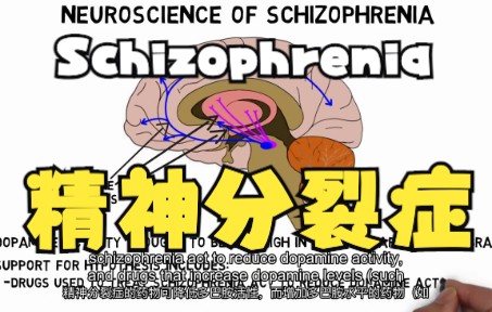 [图]【中英字幕】两分钟神经科学: 精神分裂症Schizophrenia