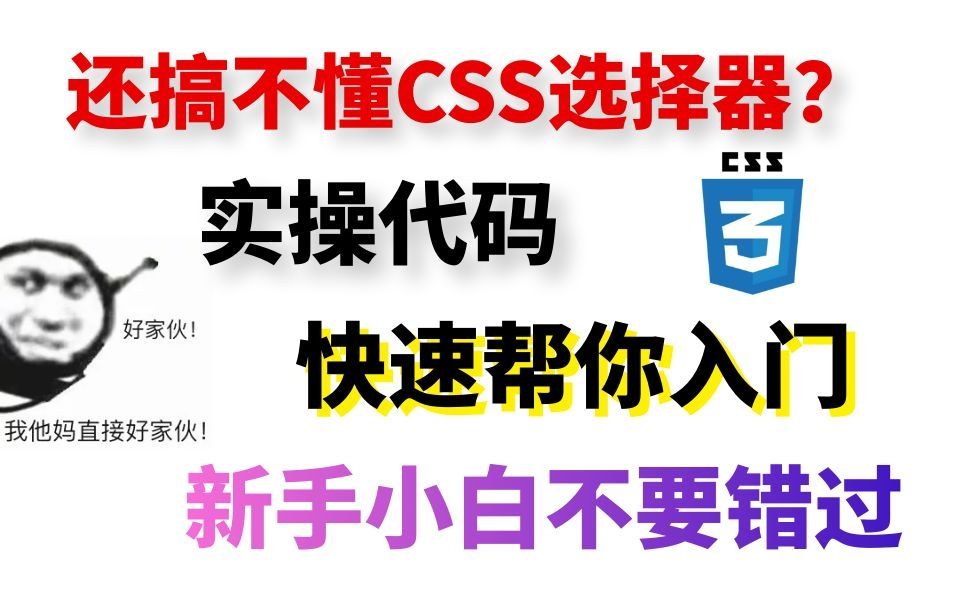 实操代码,教你如何区分CSS选择器,新手必看!哔哩哔哩bilibili