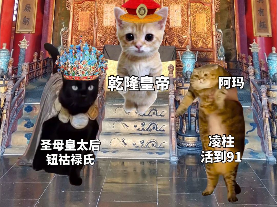 用猫meme讲述历史上甄嬛的一生(下)哔哩哔哩bilibili