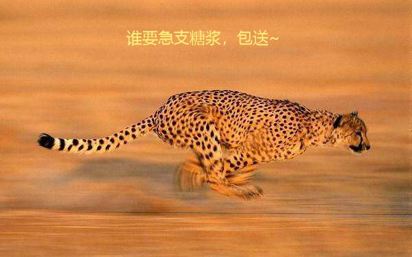 急支糖浆猎豹广告30秒图片
