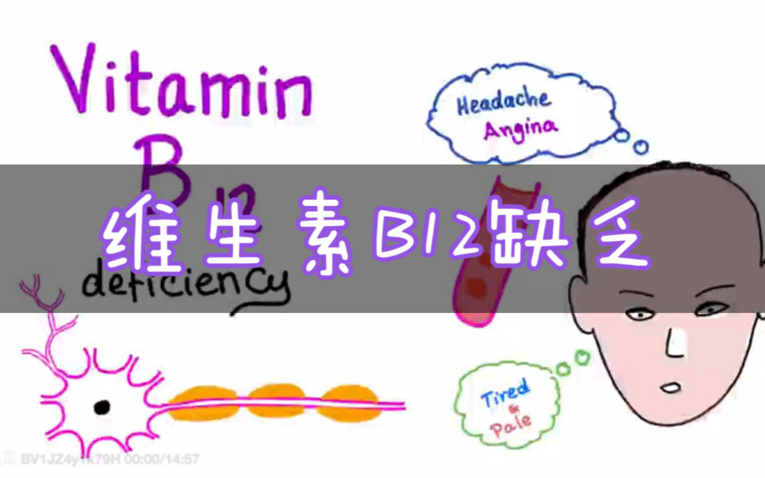 【搬运】生动理解 VB12缺乏 Vitamin B12 (Cobalamin) Deficiency钴胺素哔哩哔哩bilibili