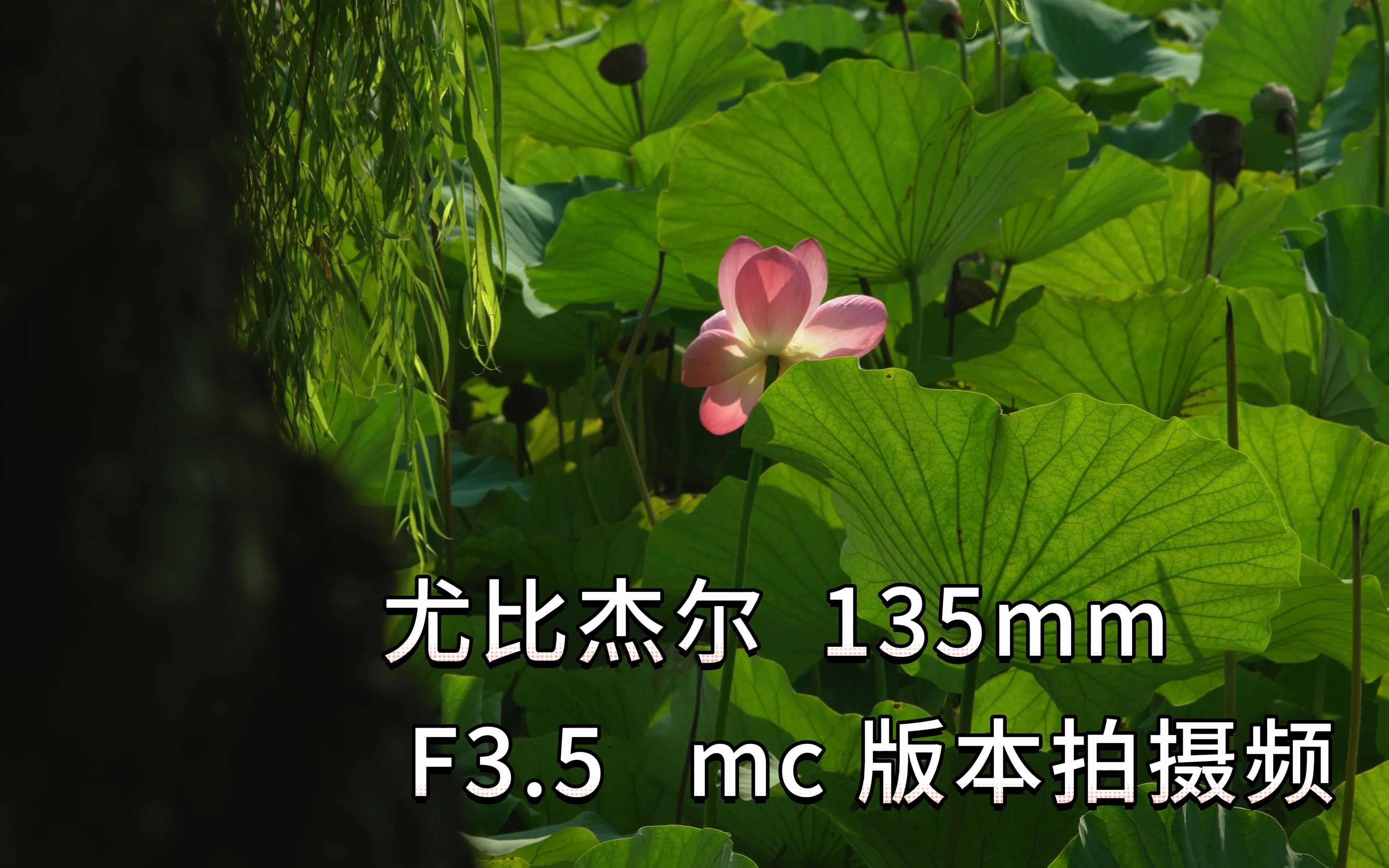 前苏联jupiter37am-尤比杰尔 135mm f3.5 镜头拍视频