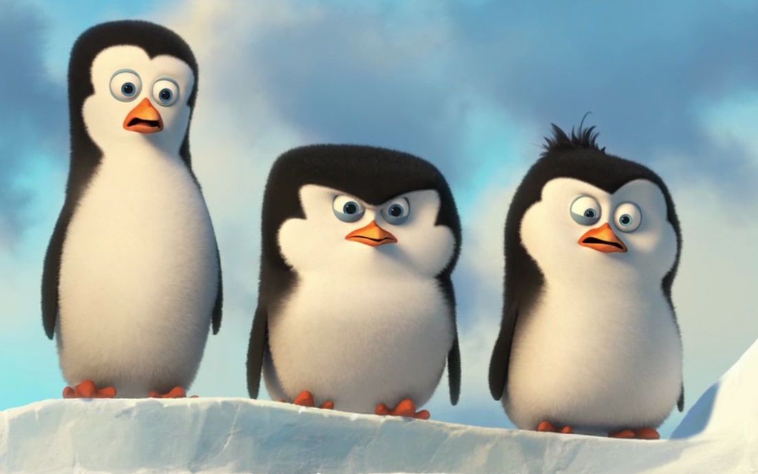 只有企鹅兄弟能解救抢橡果的检鼠