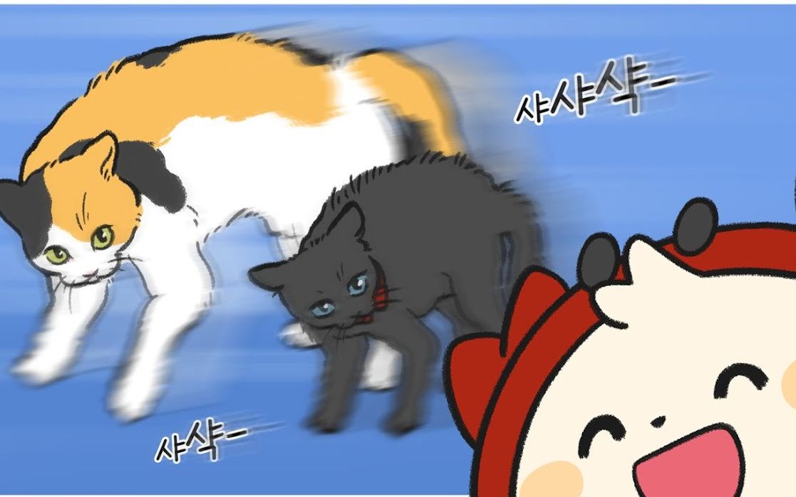 猫咪为啥会弓着腰向侧面蹦跳呢?|宠物知识科普动画哔哩哔哩bilibili