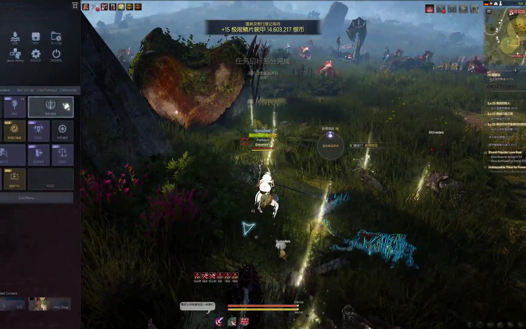 黑色沙漠梅花练级2