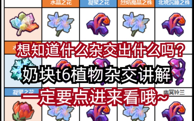 零艺奶块新世界t6杂交植物讲解