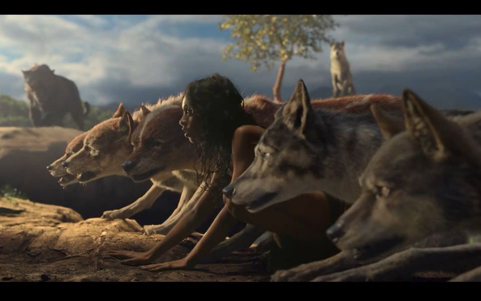 《森林之子毛克利》小男孩在狼群中长大,最后打败虎王成为森林之王