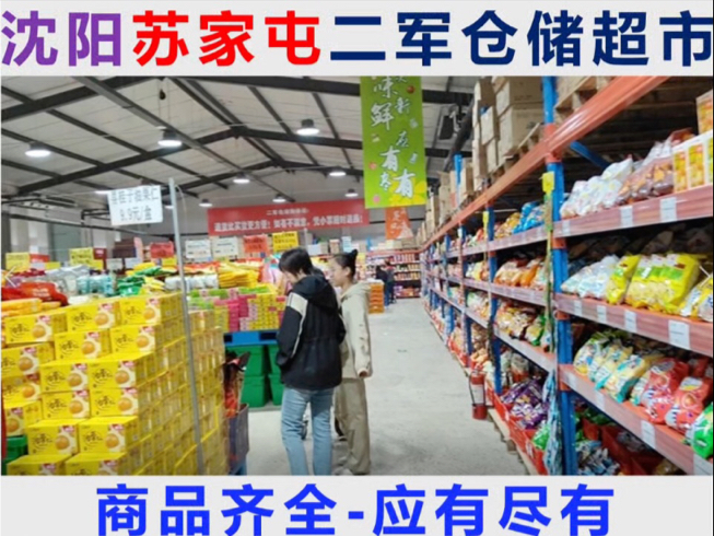 沈阳市苏家屯区,金宝台往东苏胡线的二军仓储超市,商品齐全、应有尽有;记录老家、道路依旧,童年的回忆...哔哩哔哩bilibili