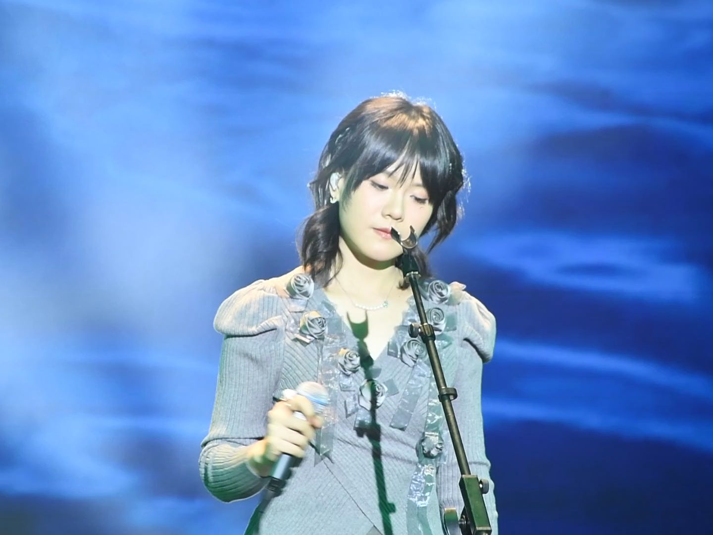 【白驹 | 司南】