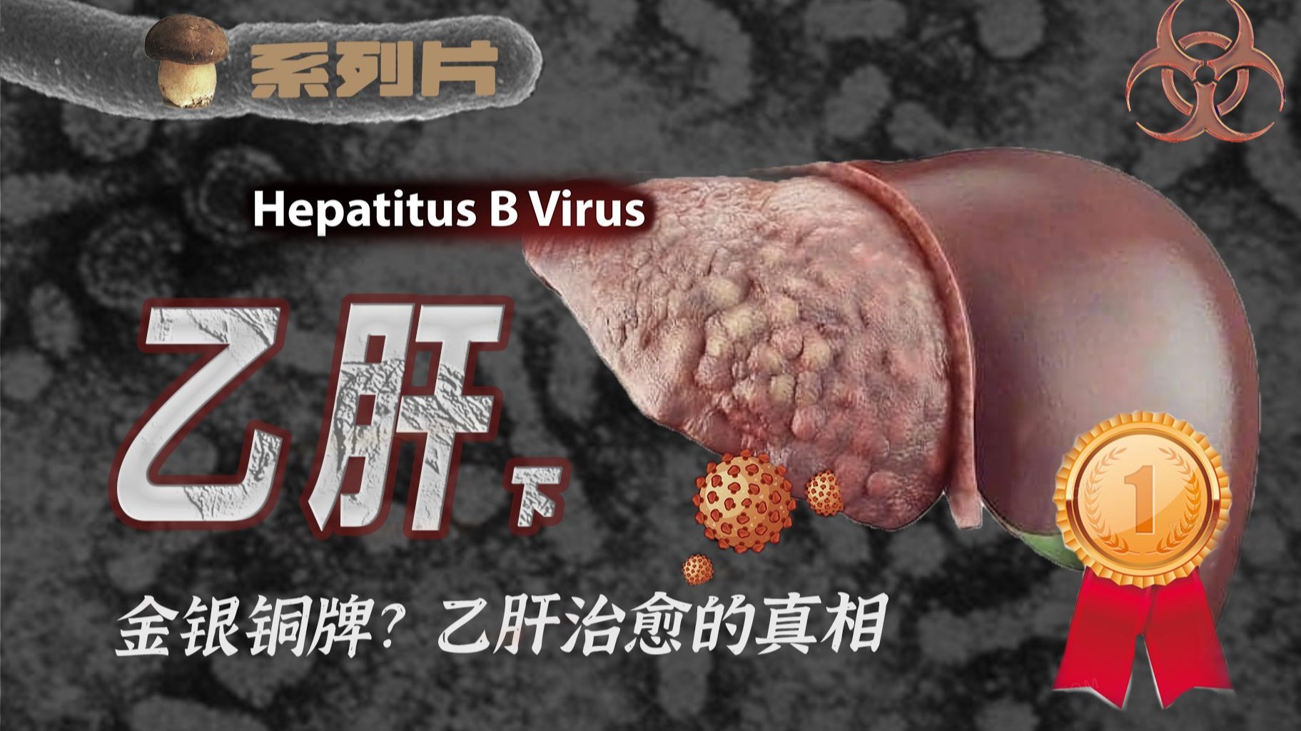【传染病系列25】这么多年为何乙肝就是根治不了？医生常说的金牌银牌铜牌又是什么？乙肝下集