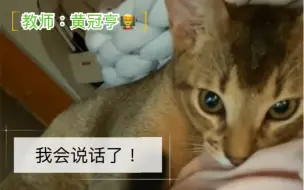 Скачать видео: 【黄冠亨】猫会说话了？！瓜老师线上教学如何让猫说话˓˓ก₍⸍⸌̣ʷ̣̫⸍̣⸌₎ค˒˒