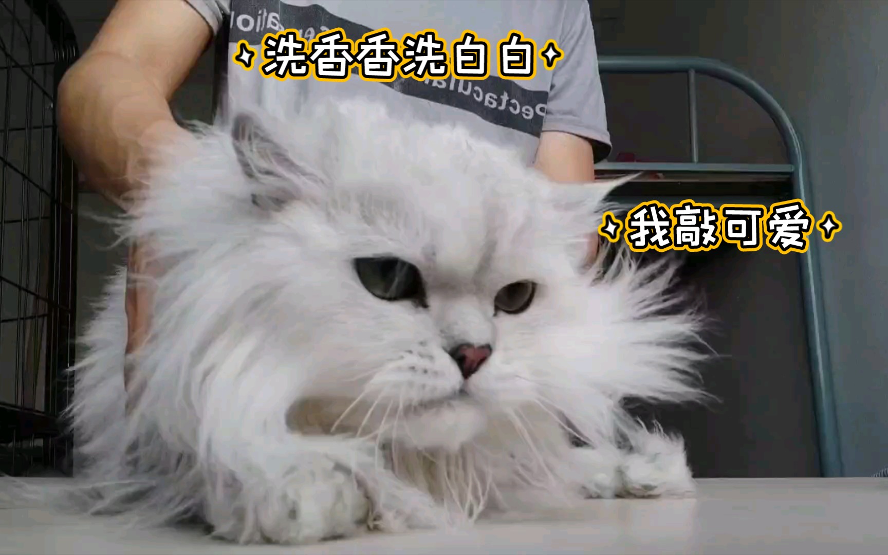 猛男洗澡视频哔哩哔哩bilibili