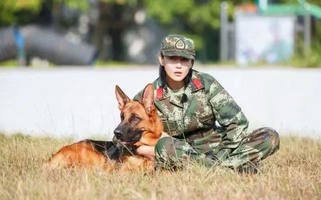 《奇兵神犬》张馨予艾勒薇斯剪辑——bgm不要忘记我爱你(谨祝张馨予