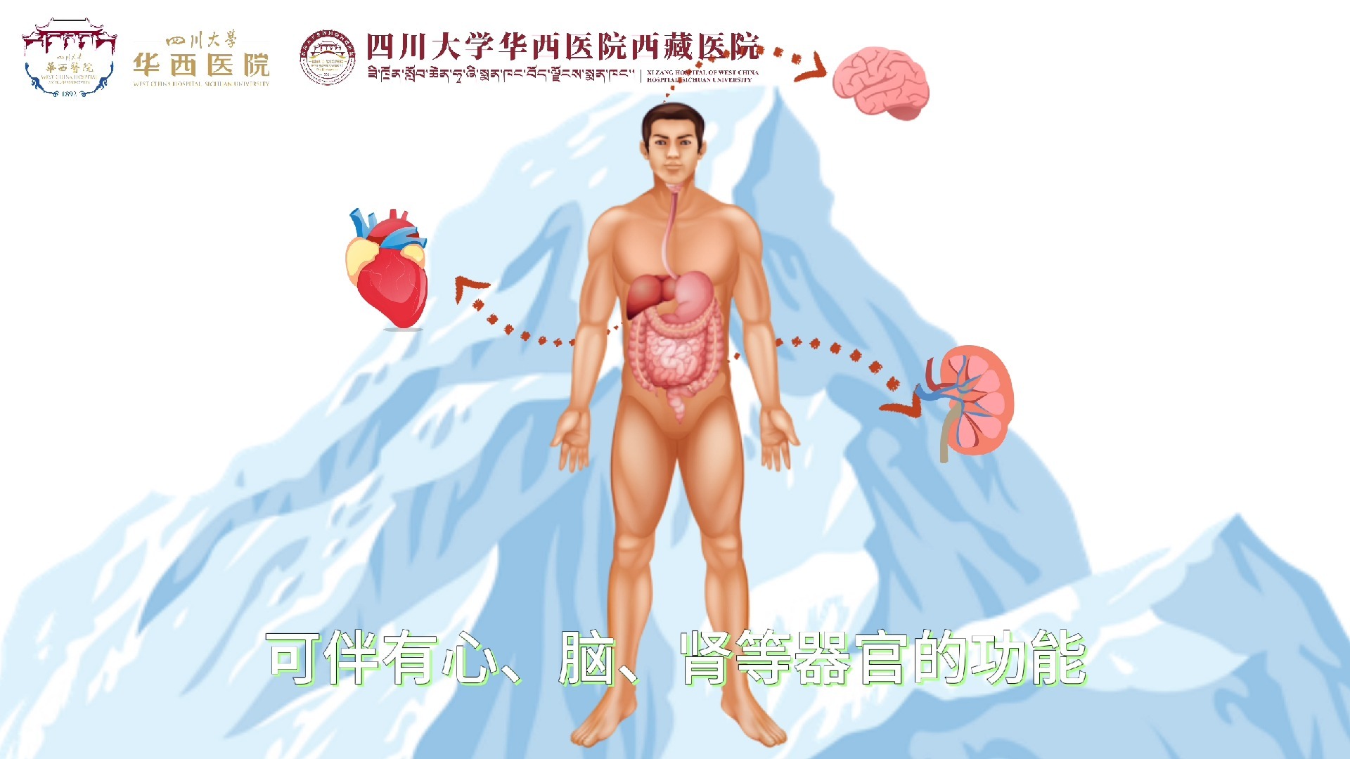 高海拔地区多维度科普三：高血压患者能上高原吗？