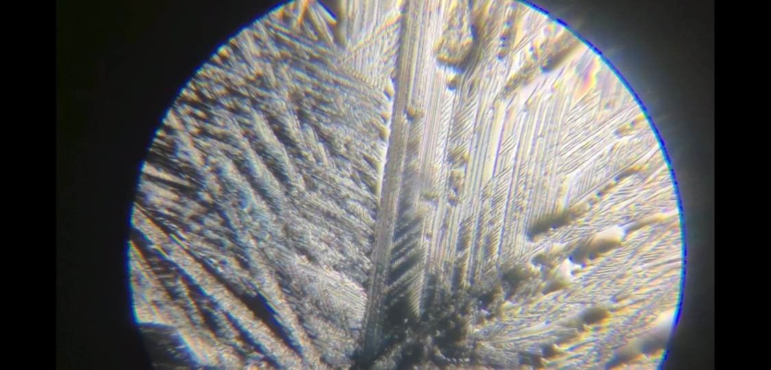 显微镜下的硝酸钾晶体