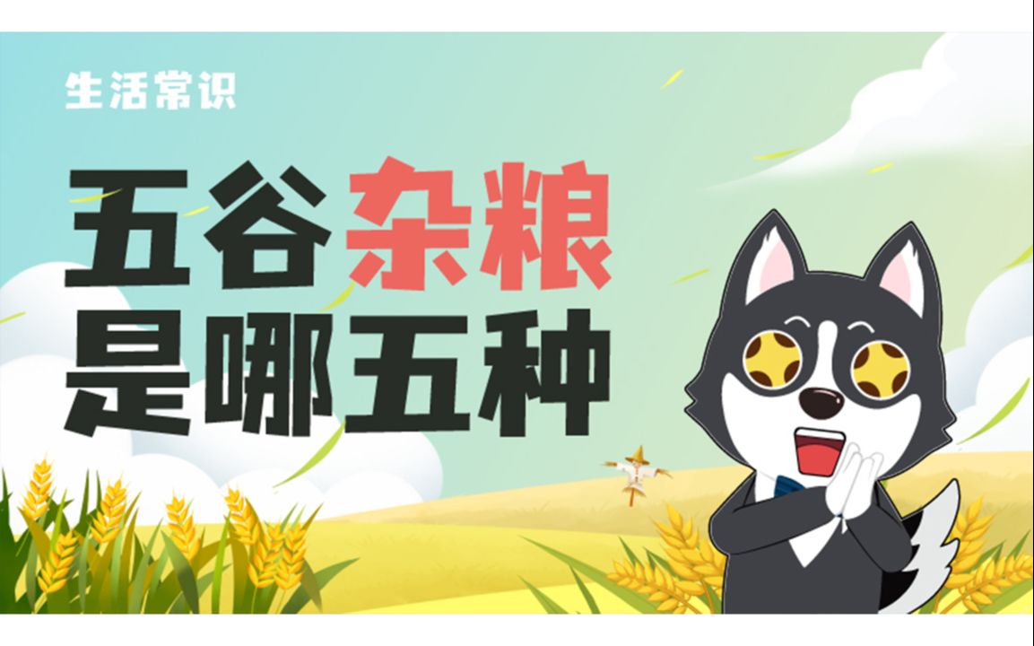 五谷杂粮是哪5种哔哩哔哩bilibili