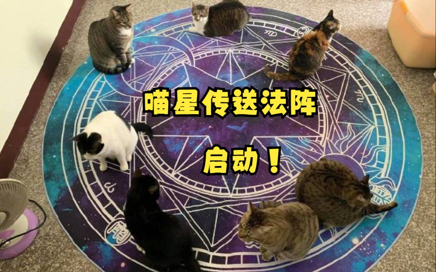 喵星传送法阵开启的ppt