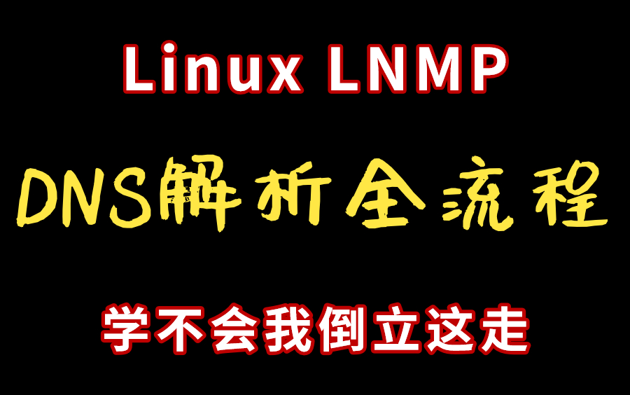 80%人都要懂的网络知识 DNS解析全流程 企业级LNMP黄金架构讲解(持续更新中......)哔哩哔哩bilibili