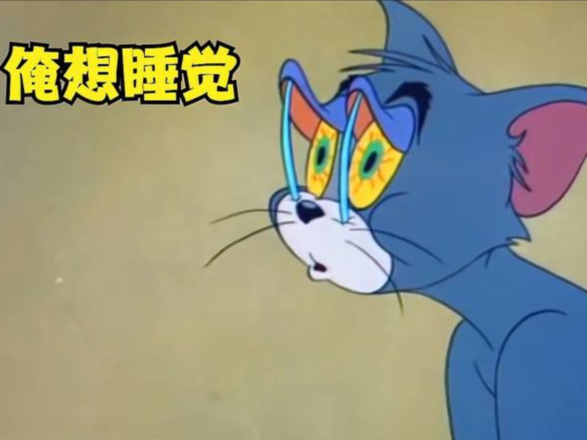 汤姆通宵熬夜不睡觉,以至于白天犯困不捉老鼠,甚至站着都能睡着