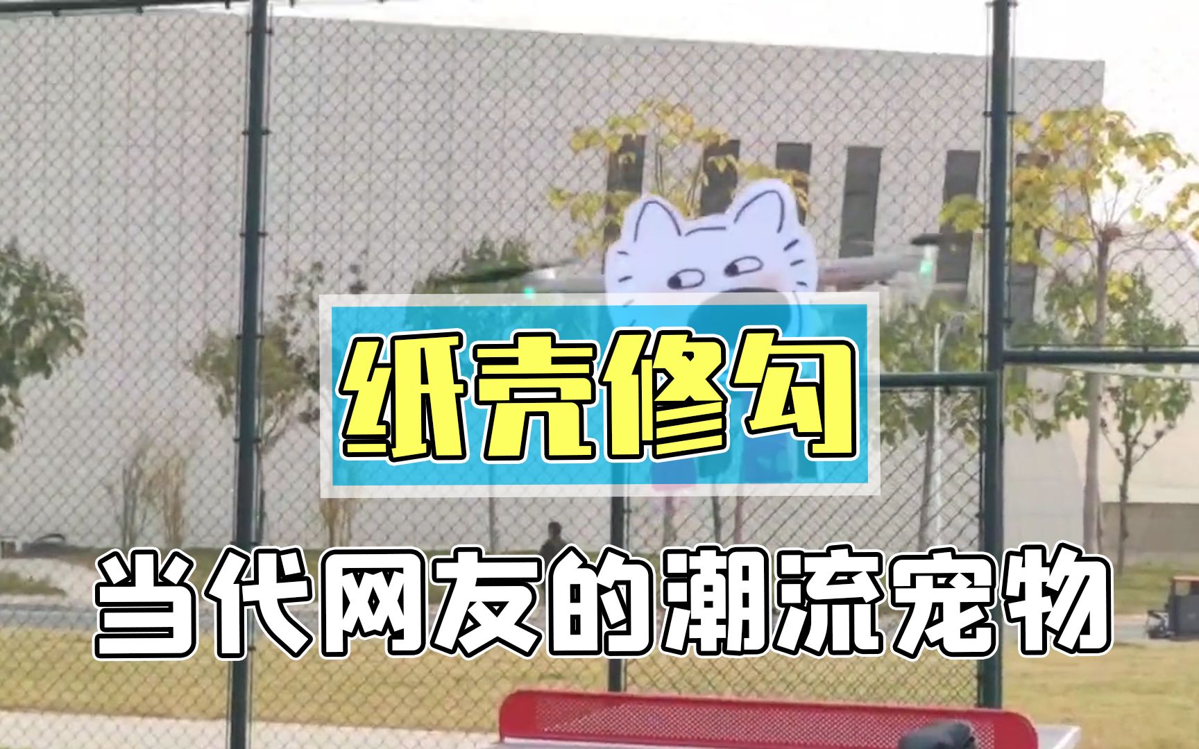 [图]新时代纸壳小狗占领大学圈？当代网友的宿舍神奇宝贝