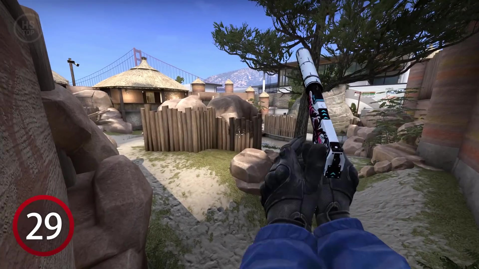 【 hs top】csgo动物园地图技巧