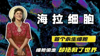 Download Video: 海拉细胞：人类首个永生细胞，细胞被偷走，但意外拯救世界