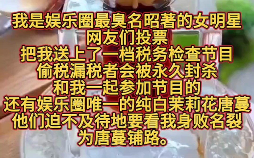 我是娱乐圈最臭名昭著的女明星.网友们投票,把我送上了一档税务检查节目.偷税漏税者会被永久封杀.和我一起参加节目的,还有娱乐圈唯一的纯白茉莉...