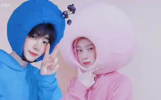 花貂 哔哩哔哩 Bilibili