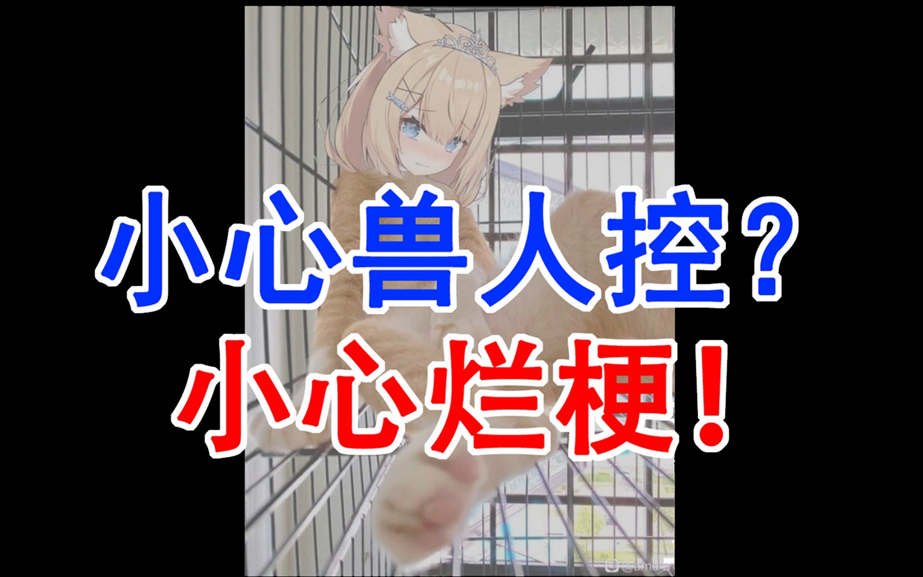 小心兽人控小心烂梗