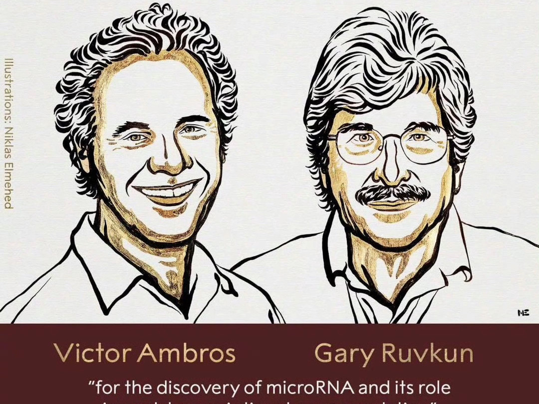 2024年诺贝尔生理学或医学奖公布,研究微小核糖核酸的两名科学家获奖,理由是“发现microRNA及其在转录后基因调控中的作用.”哔哩哔哩bilibili