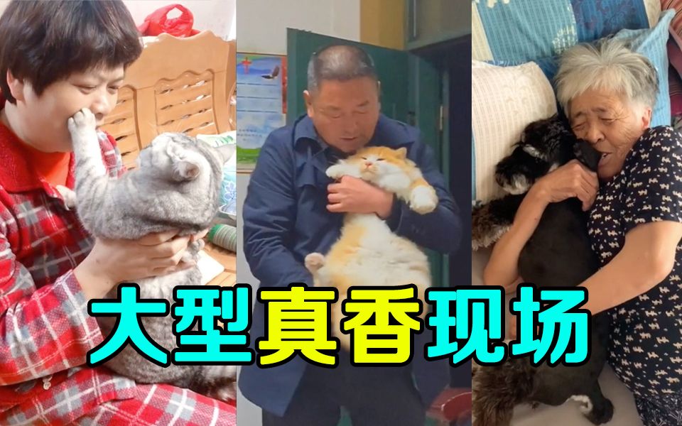 盘点当初不让养宠物的父母大型真香现场