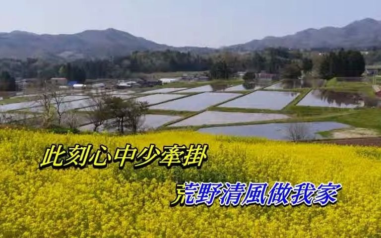 [图]紅日豐收 林子祥〈歌手演唱版〉