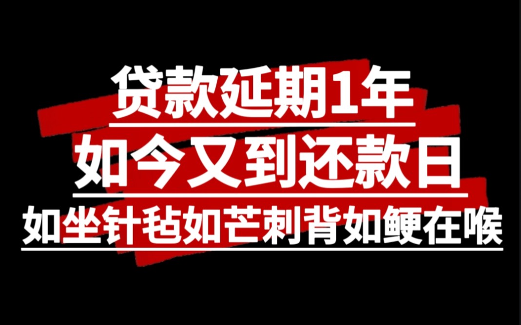 贷款延期一年,如今延期时间已到,如坐针毡如芒刺背如鲠在喉,解密正确应对方法哔哩哔哩bilibili