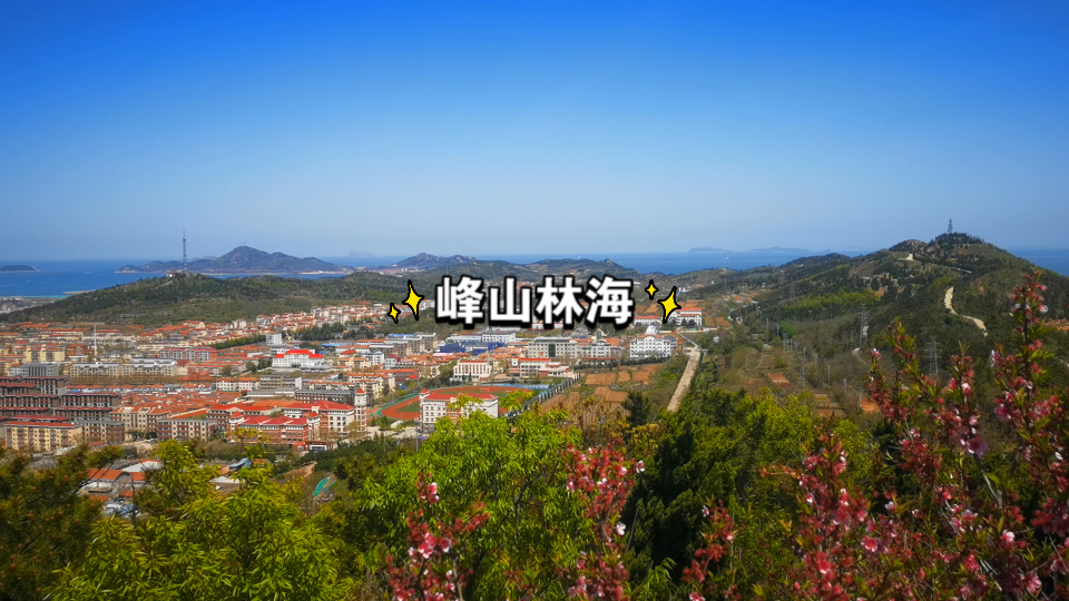 长岛峰山林海哔哩哔哩bilibili