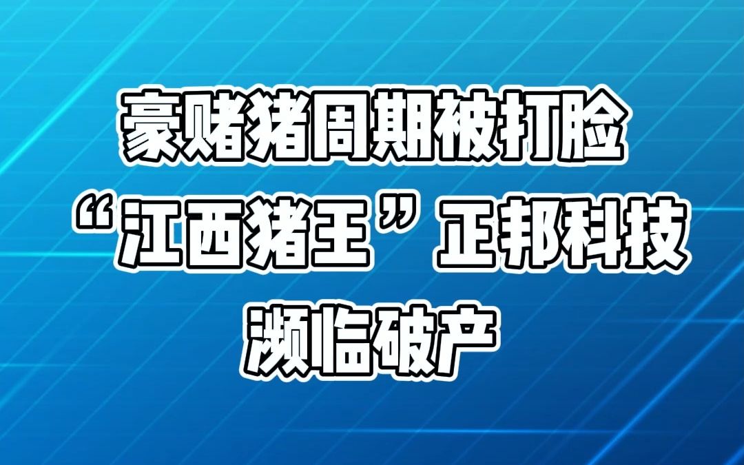 豪赌猪周期被打脸,“江西猪王”正邦科技濒临破产哔哩哔哩bilibili