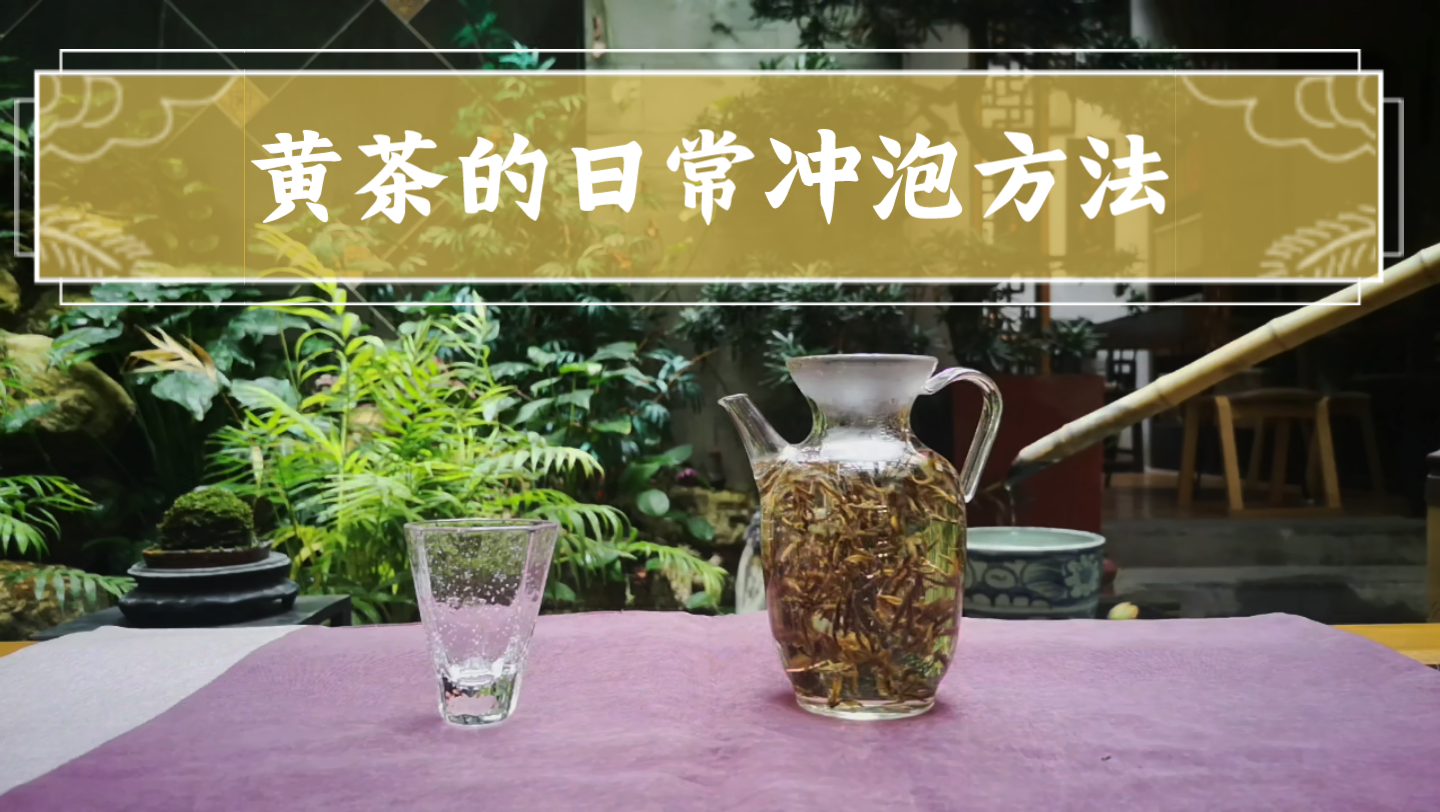 【茶小白系列】黄茶的初识(下)| 黄茶的日常冲泡方法哔哩哔哩bilibili