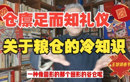 【王智讲春节】仓廪足而知礼仪,这些粮仓的冷知识你知道吗?哔哩哔哩bilibili