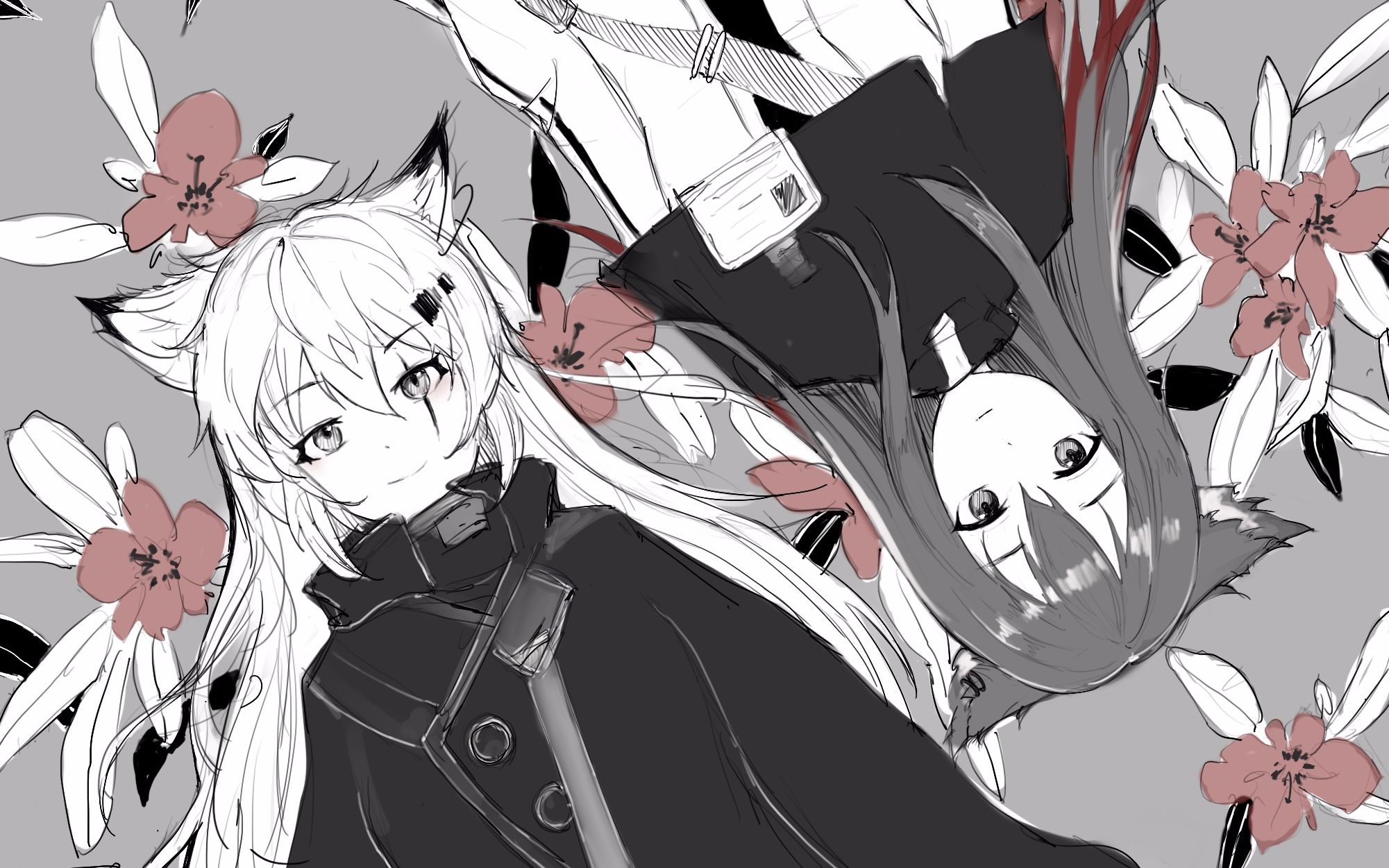 【明日方舟/双狼手书】あの夏に咲け